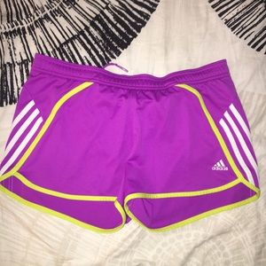 NWOT Adidas Track Shorts
